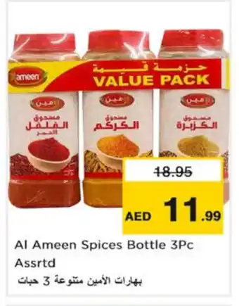 Nesto AL AMEEN Spices / Masala offer