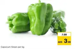 Nesto Capsicum Green offer