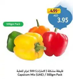 Union Coop Capsicum Mix offer