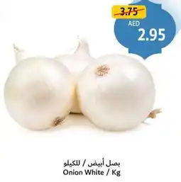 Union Coop Onion White offer