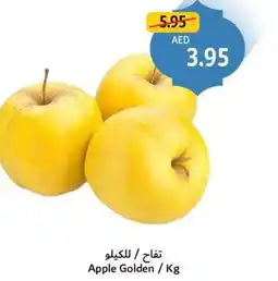 Union Coop Apple Golden offer