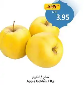 Union Coop Apple Golden offer