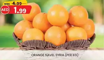 KM Trading Orange navel syria offer