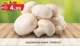 KM Trading Mushroom oman offer