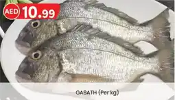 KM Trading Gabath offer