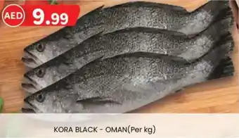 KM Trading Kora black oman offer