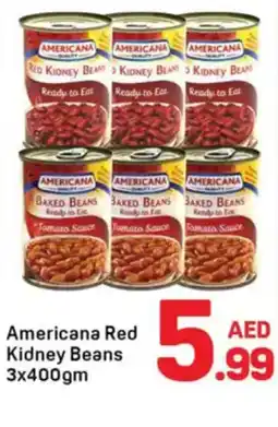 Day To Day Americana red kidney beans offer