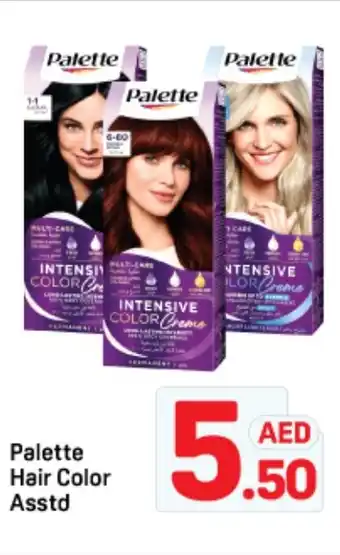 Day To Day Palette hair color offer