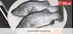 KM Trading Sea bass arabic black offer