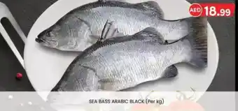 KM Trading Sea bass arabic black offer