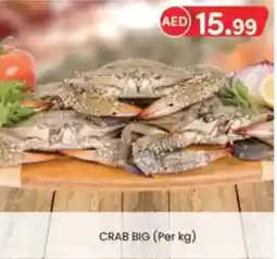 KM Trading Crab big offer