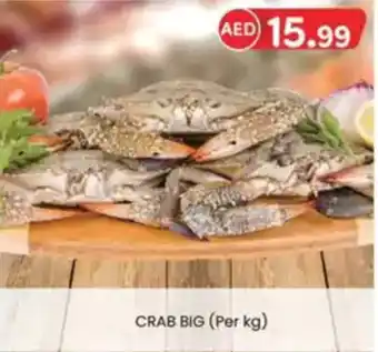 KM Trading Crab big offer