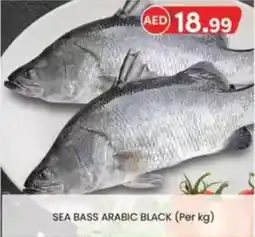 KM Trading Sea bass arabic black offer