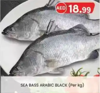 KM Trading Sea bass arabic black offer