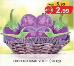 KM Trading Eggplant small voilet offer