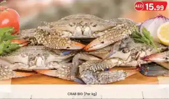 KM Trading Crab big offer