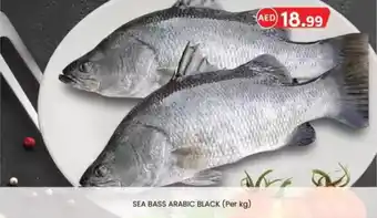 KM Trading Sea bass arabic black offer