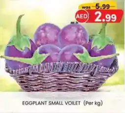 KM Trading Eggplant small voilet offer