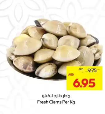 Abu Dhabi Coop Fresh clams offer