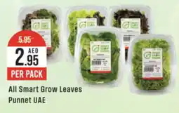 West Zone Supermarket All smart grow leaves punnet offer