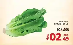 Kenz Hypermarket Lettuce offer