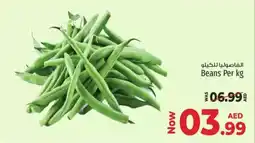 Kenz Hypermarket Beans offer