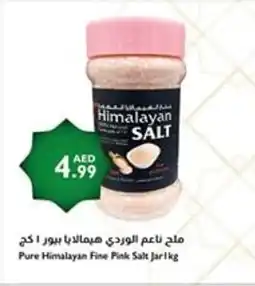 Istanbul Supermarket Pure Himalayan Fine Pink Salt Jar offer