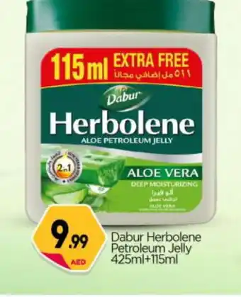 Bigmart DABUR Petroleum Jelly offer