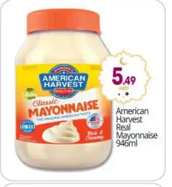 Bigmart AMERICAN HARVEST Mayonnaise offer