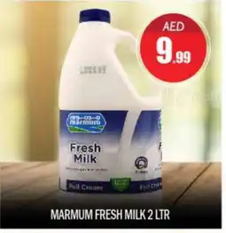 Bigmart MARMUM Fresh Milk offer