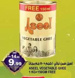 Hashim Hypermarket ASEEL Vegetable Ghee offer