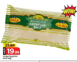 Mark & Save VOLGA Egyptian / Calrose Rice offer