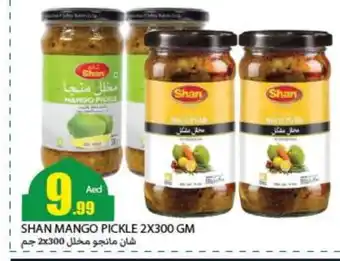 Rawabi Market SHAN Pickle offer