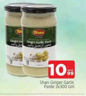 Al Madina SHAN Garlic Paste offer