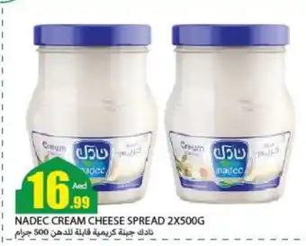 Rawabi Market NADEC Cream Cheese offer