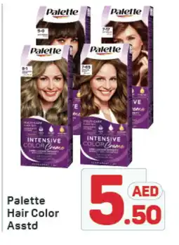 Day To Day PALETTE Hair Colour offer