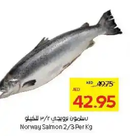 Abu Dhabi Coop Norway Salmon 2/3 offer