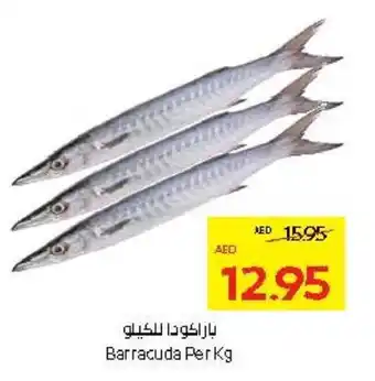 Abu Dhabi Coop Barracuda offer