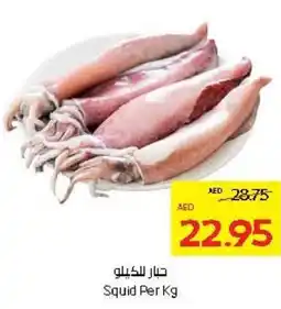 Abu Dhabi Coop Squid offer