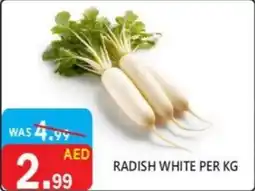 United Hypermarket Radish white offer