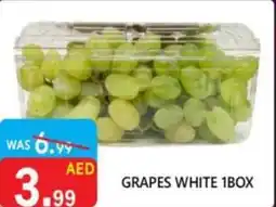 United Hypermarket Grapes white 1box offer