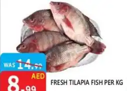 United Hypermarket Fresh tilapia fish offer