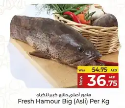 Kenz Hypermarket Fresh hamour big asli offer