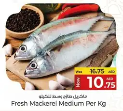 Kenz Hypermarket Fresh Mackerel Medium offer