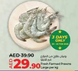 Lulu Hypermarket Fresh Farmed Prawns Large offer