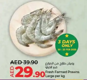 Lulu Hypermarket Fresh Farmed Prawns Large offer