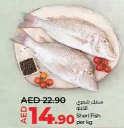 Lulu Hypermarket Sheri fish offer