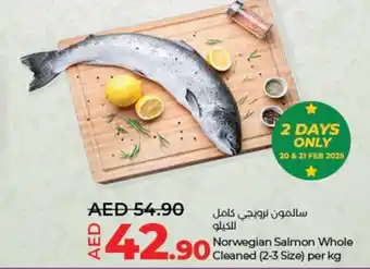 Lulu Hypermarket Norwegian Salmon Whole Cleaned offer