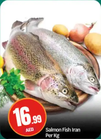 Bigmart Salmon Fish Iran offer