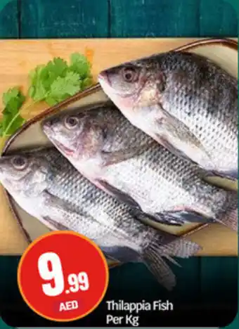 Bigmart Thilappia Fish offer